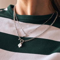 Charm Rare Prata