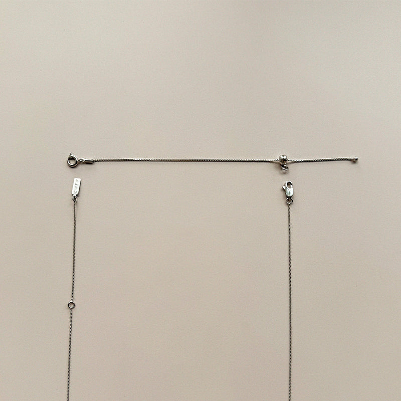 Extensor Prata